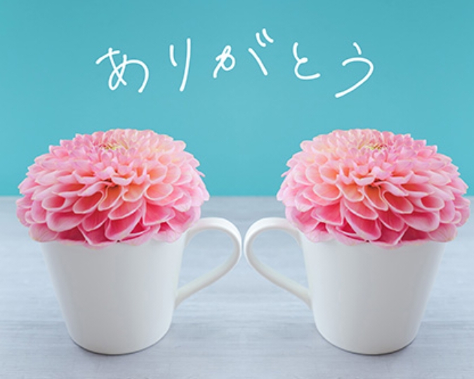 熊本 デリヘル「クラブボディ」芙美さんの投稿写メ日記