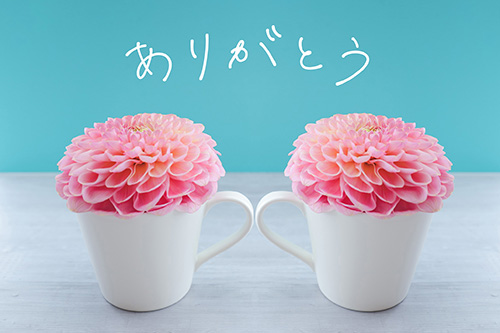 熊本 デリヘル「クラブボディ」芙美さんの投稿写メ日記